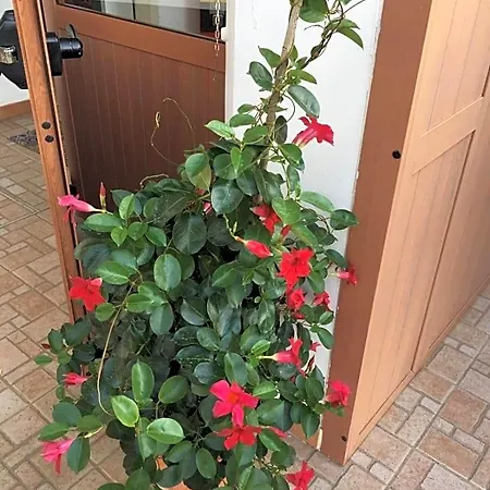 B&B U' Fore Relax Garden 노치