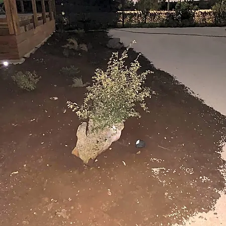 לינה וארוחת בוקר U' Fore Relax Garden נוצ'י