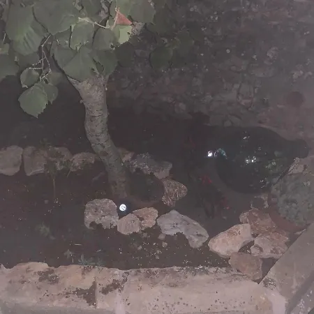 U' Fore Relax Garden Couette-café 4*