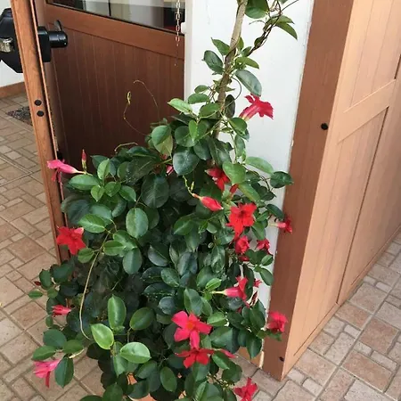 U' Fore Relax Garden Couette-café