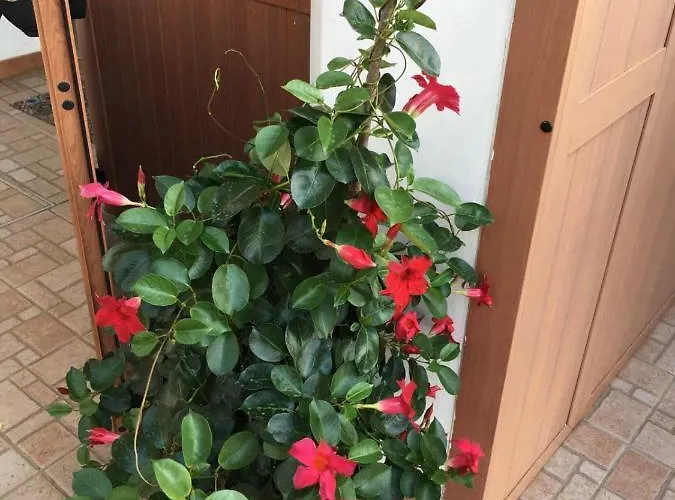 U' Fore Relax Garden לינה וארוחת בוקר